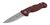 Umarex Elite Force EF170 – Red G10 Folding Knife with 440A Steel Blade and Back-Lock Mechanism - Elite Force EF170 red G10 folding knife with 440A stonewashed blade