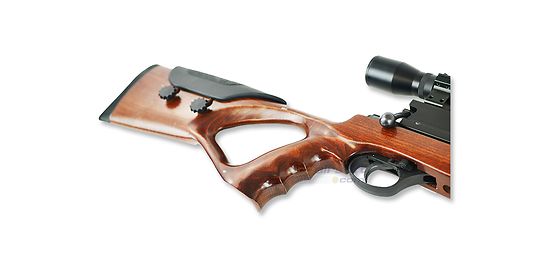 Swiss Arms Reaper Airgun 5.5mm with Scope