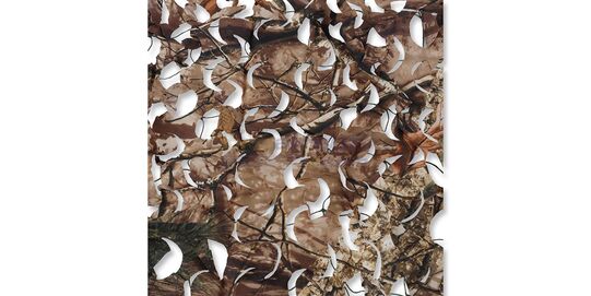 Diablo naamiointipeite, syysmetsä