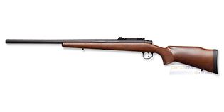 ASG M70 Varmint