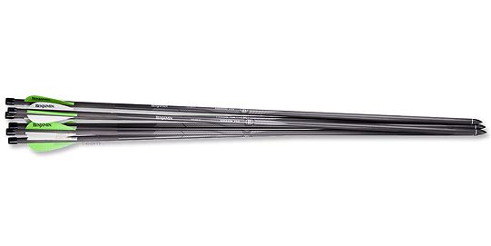 Benjamin Pioneer nuolet (6kpl)