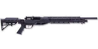 Benjamin Armada PCP 5.5mm