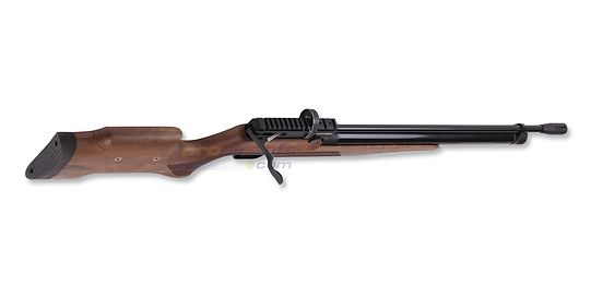 Benjamin Cayden PCP 5.5mm