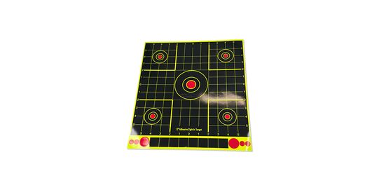 Bluedot Splatter Target V3 30x33cm (10pcs) – Self Marking Shooting Targets