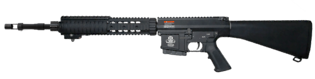 G&G GR25 SPR
