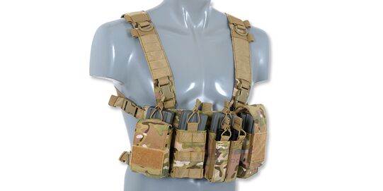 Chestrig V3, multicam