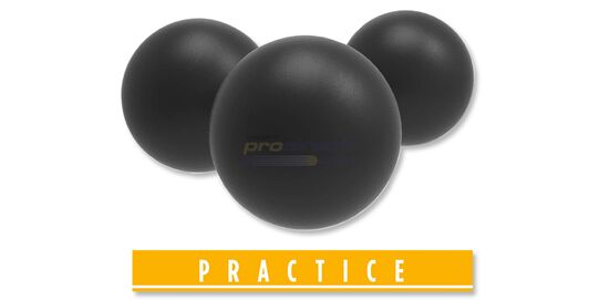 Umarex T4E Practice RUB .68 Rubber Balls (100)
