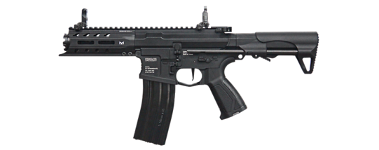 G&G ARP 556 AEG